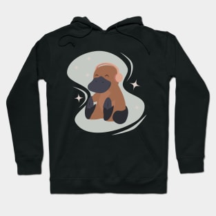 Music and Platypus - Cute platypus with headphones Hoodie